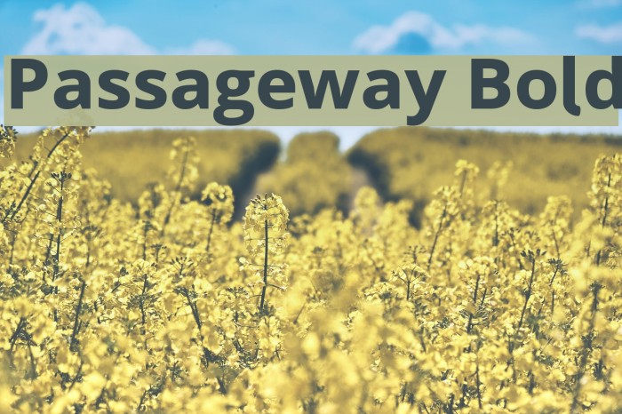 Passageway Bold Font examples