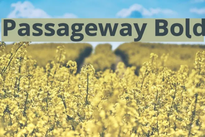 Passageway Bold Example 1