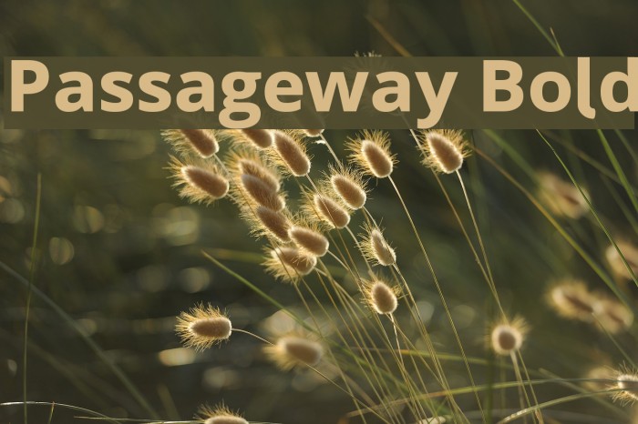 Passageway Bold Font examples