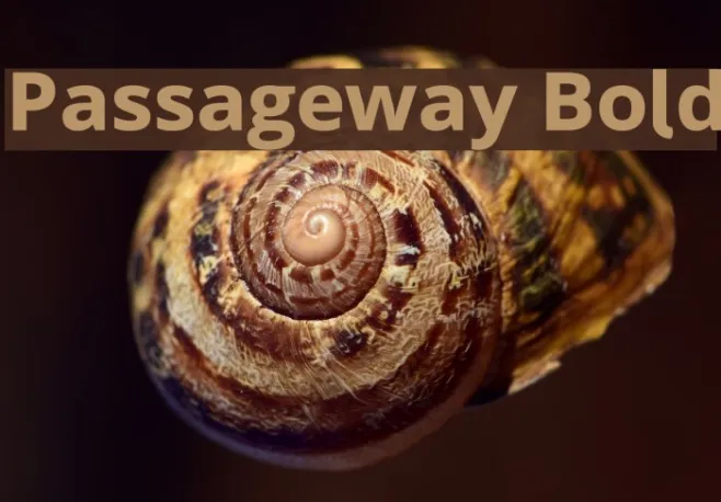 Passageway Bold Example 3
