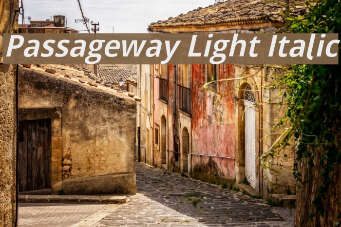 Passageway Light Italic Font examples