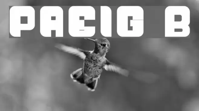 Passeig B Fuentes examples