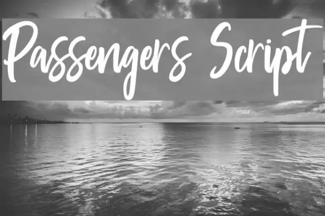 Passengers Script Font examples
