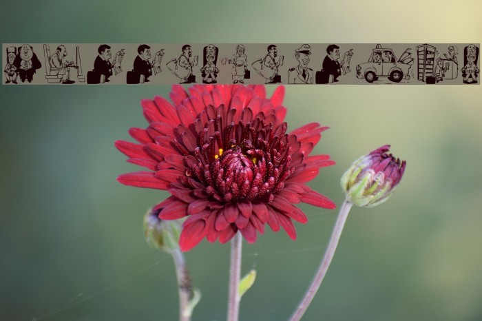 PassengersFun Example 3