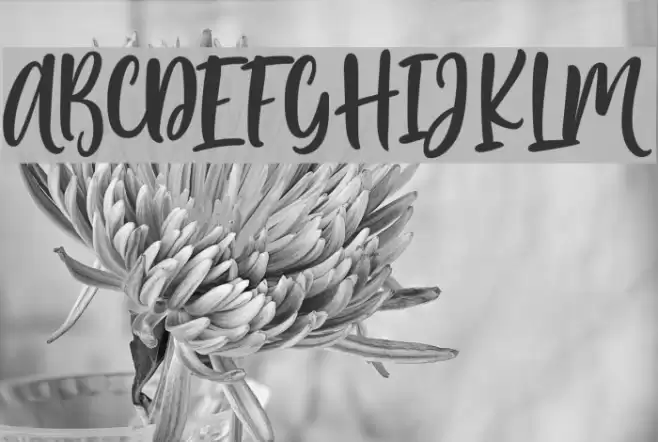 PassengersScript Font examples