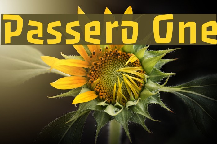 Passero One Font examples