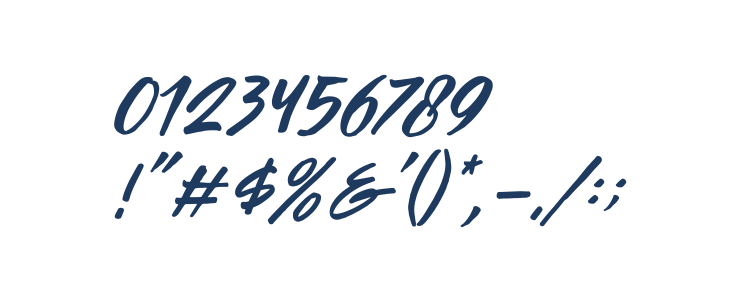 Passifille Italic Other Characters