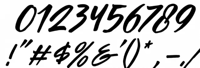 Passifille Italic Font OTHER CHARS