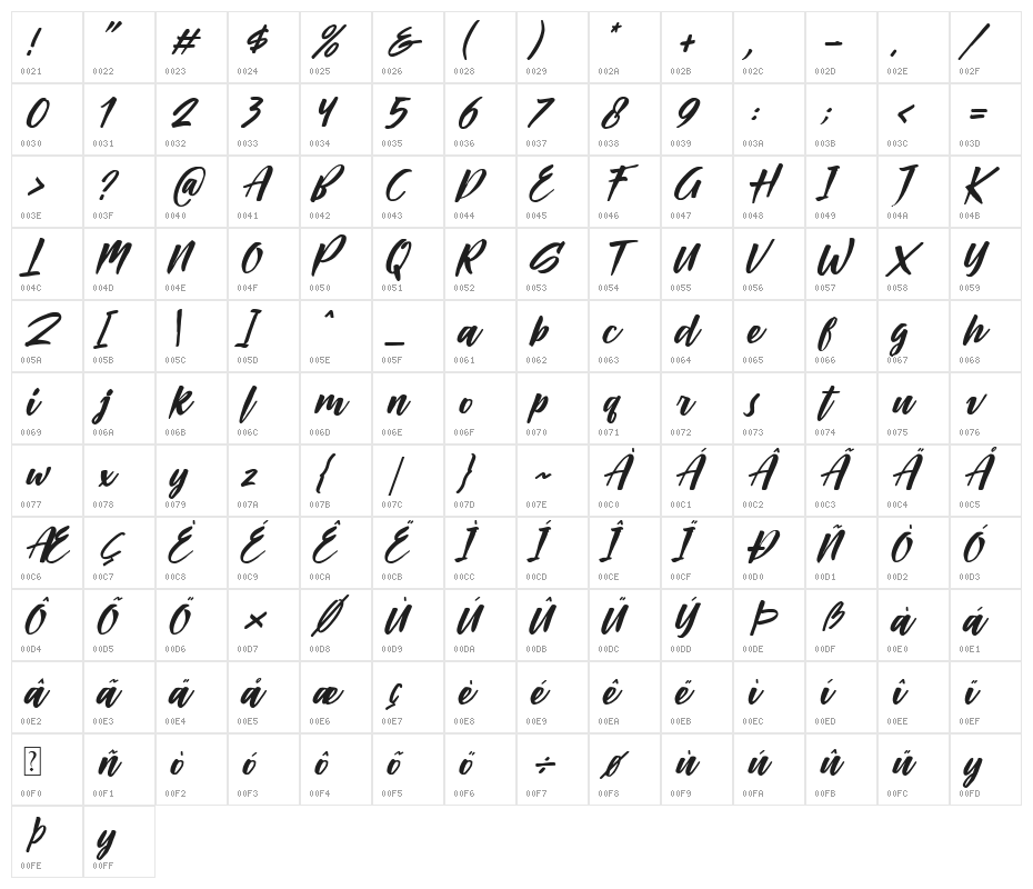 Passifille Italic Character Map