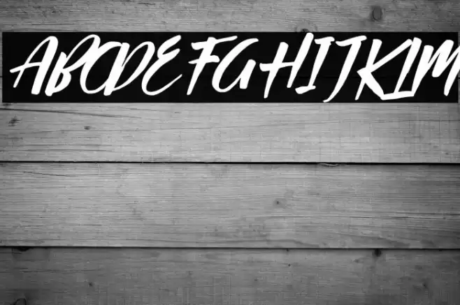 Passifille Italic Font examples