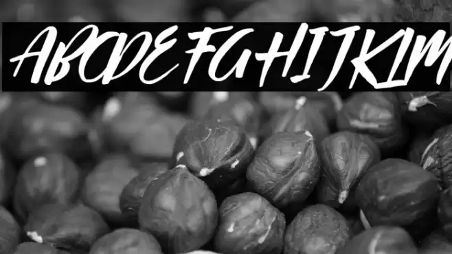 Passifille Italic Font examples