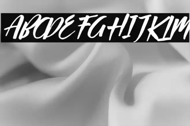 Passifille Italic Font examples