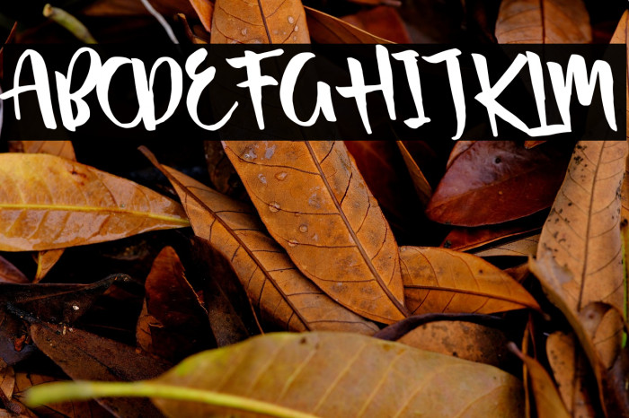 Passifille Tilted Example 2