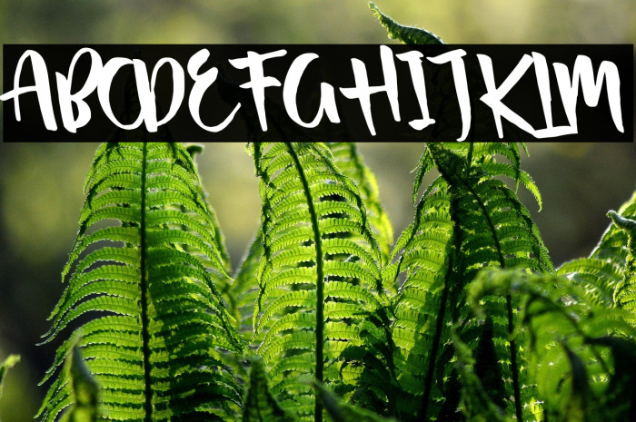 Passifille Tilted Example 3