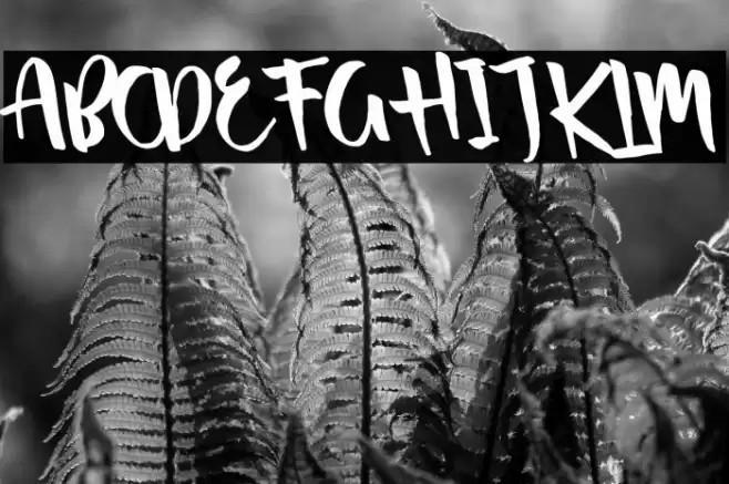 Passifille Tilted Font examples