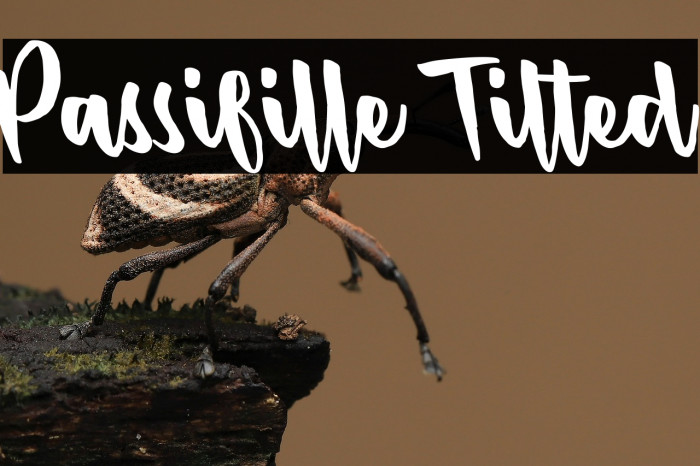 Passifille Tilted Example 2