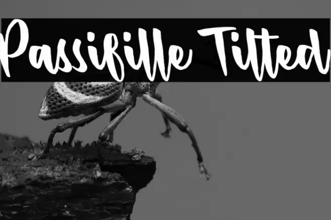 Passifille Tilted Font examples