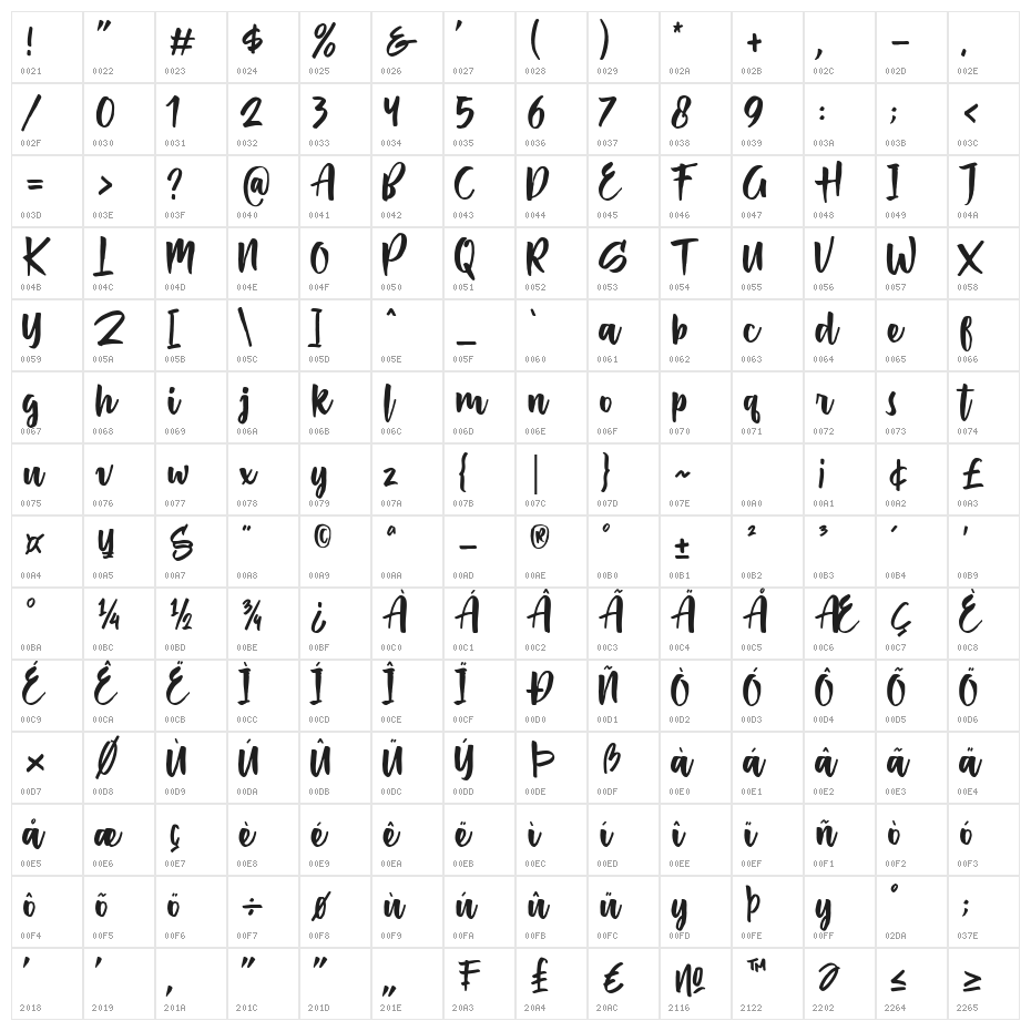 Passifille Character Map