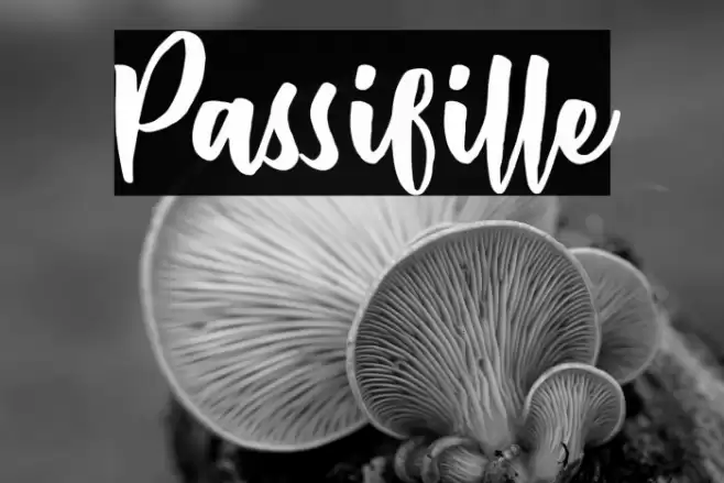 Passifille Font examples
