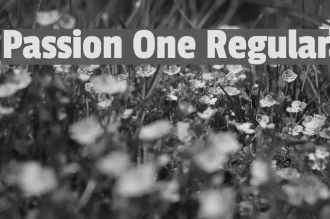 Passion One Regular Font examples
