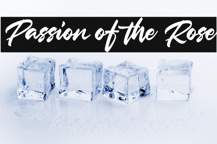 Passion of the Rose Example 1