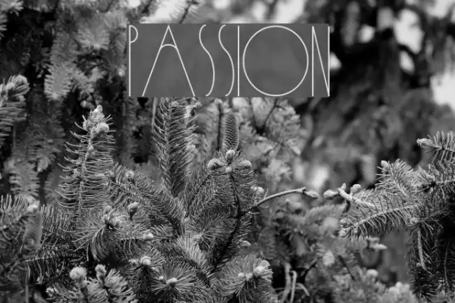 Passion Font examples