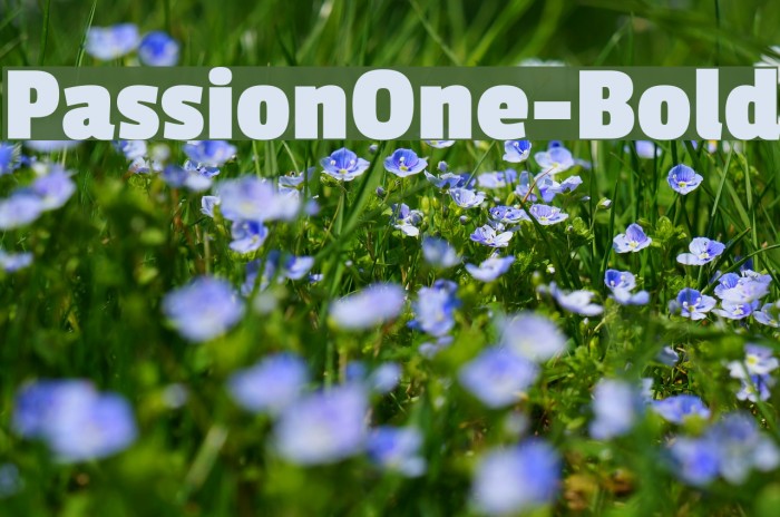 PassionOne-Bold Font examples