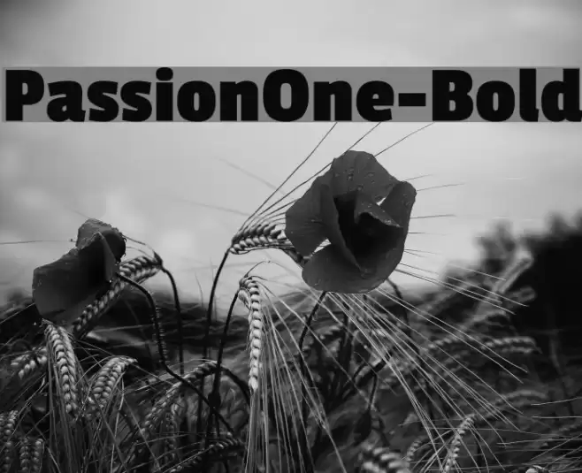 PassionOne-Bold Font examples