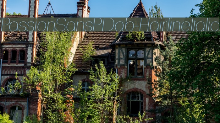PassionSansPDab-HairlineItalic Example 1