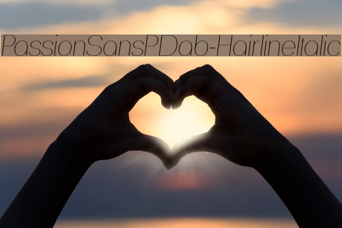 PassionSansPDab-HairlineItalic Example 3