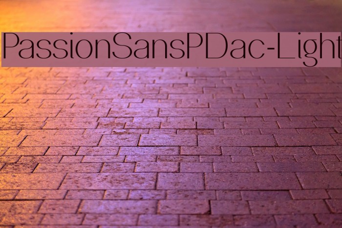 PassionSansPDac-Light Font examples