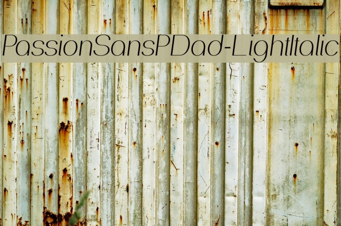 PassionSansPDad-LightItalic Font examples