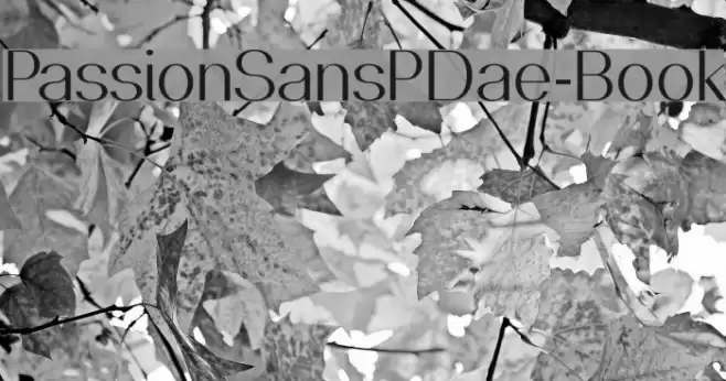 PassionSansPDae-Book Font examples