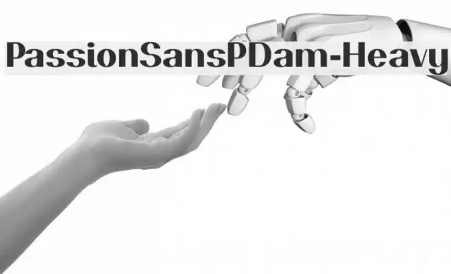 PassionSansPDam-Heavy Font examples