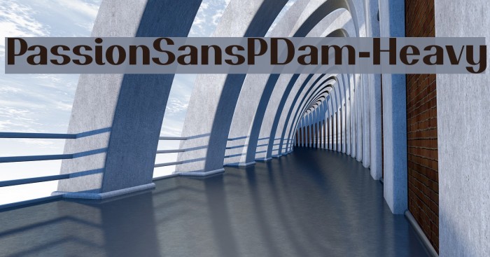 PassionSansPDam-Heavy Font examples