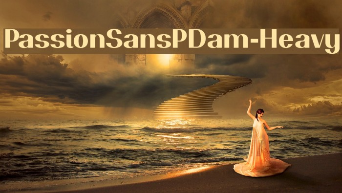PassionSansPDam-Heavy Font examples