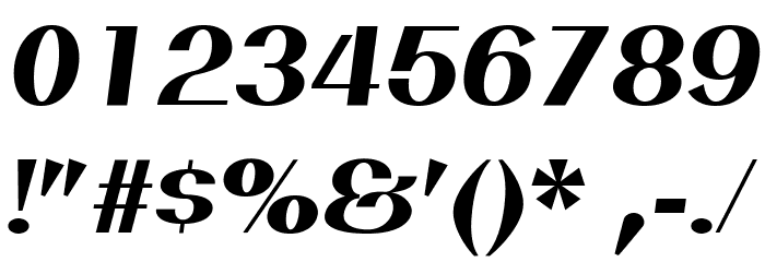 PassionSansPDan-HeavyItalic Font OTHER CHARS
