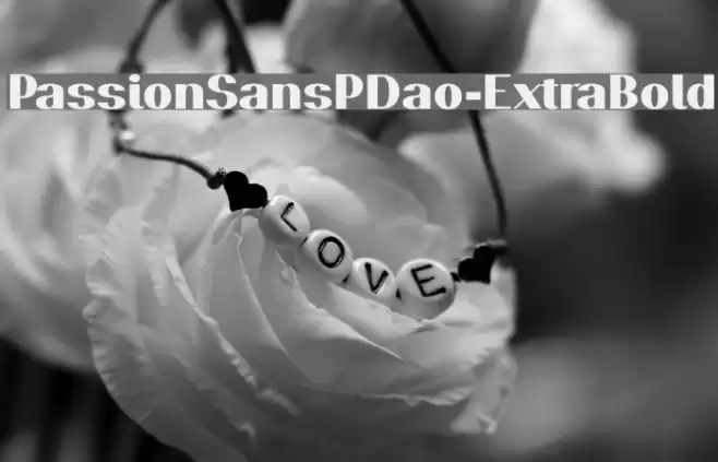 PassionSansPDao-ExtraBold Font examples