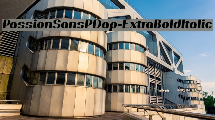 PassionSansPDap-ExtraBoldItalic Font examples