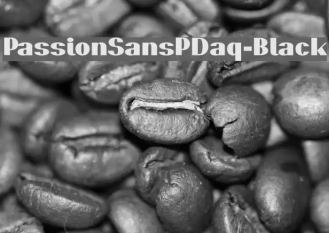 PassionSansPDaq-Black Font examples