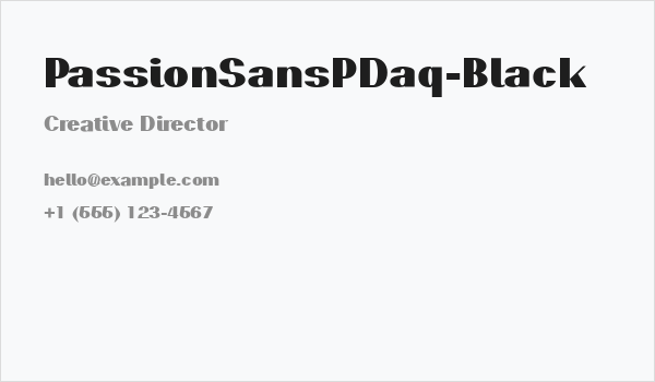PassionSansPDaq-Black Business Card