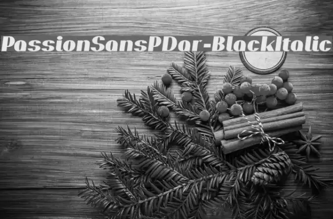 PassionSansPDar-BlackItalic Font examples