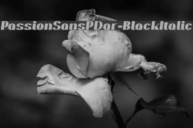 PassionSansPDar-BlackItalic Font examples