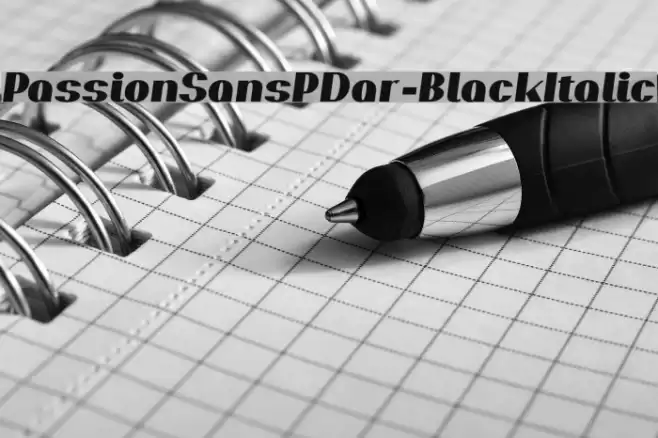 PassionSansPDar-BlackItalic Font examples