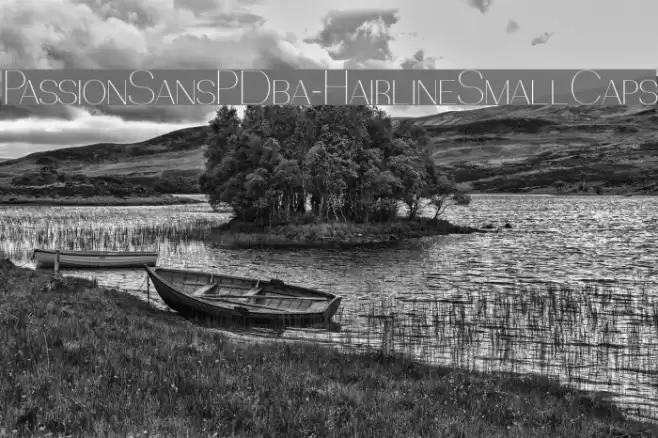 PassionSansPDba-HairlineSmallCaps Font examples