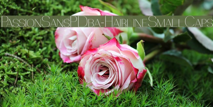 PassionSansPDba-HairlineSmallCaps Font examples