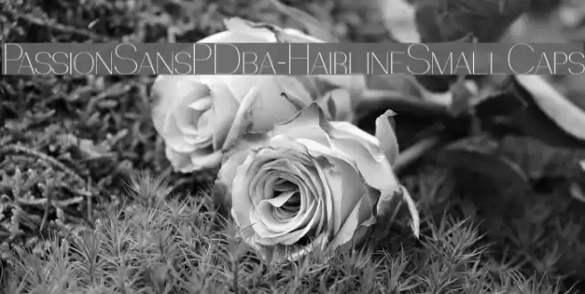 PassionSansPDba-HairlineSmallCaps Font examples