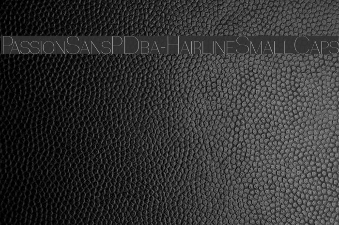 PassionSansPDba-HairlineSmallCaps Font examples