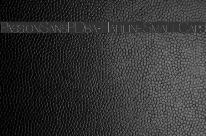 PassionSansPDba-HairlineSmallCaps Font examples