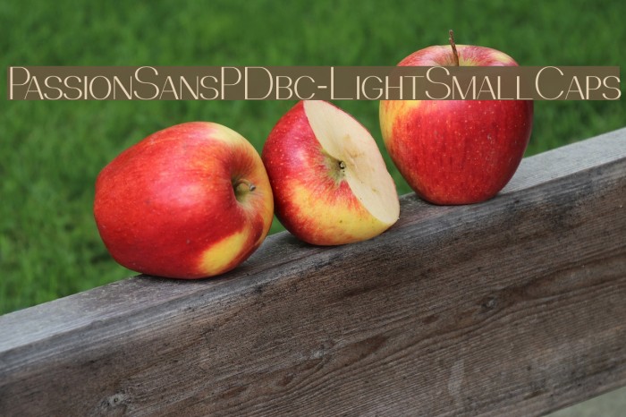 PassionSansPDbc-LightSmallCaps Font examples